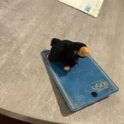 ハルルの画像
