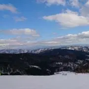 miyの画像