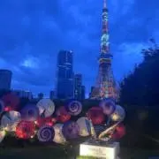 みかん