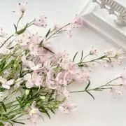 CLUSTER 第6章 初版 秋山たまよ 匿名配送・翌日発送 - メルカリ