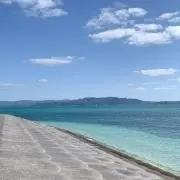 Mshop（只今発送遅くなります）の画像