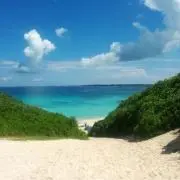 nissyの画像