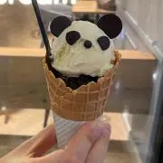 ぽむの画像