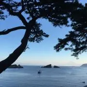 Mr.39の画像