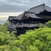 Kimuraの画像