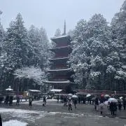 クロコの画像