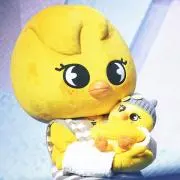 vvの画像