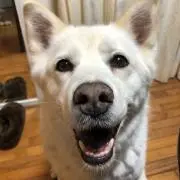 nakasan_dori