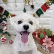 すずらん