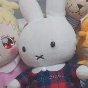 ピーチ姫Ｎ