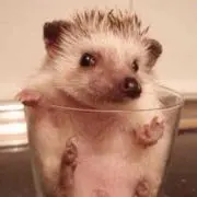 アスパラ