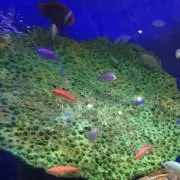 マザーズ☺︎