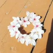 チップの画像