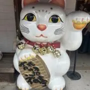 ひでこの画像