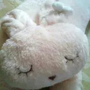 MIMIの画像