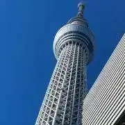 ぴぴ