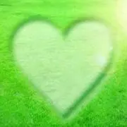 ＆Peaceの画像