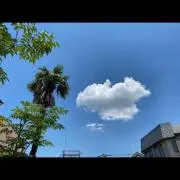 Kikiの画像