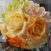 アッキ ーの画像