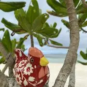 あらじんの画像