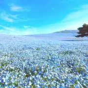 mioの画像