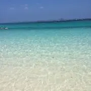 ありたんの画像