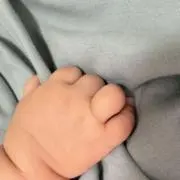 クリームパンの画像
