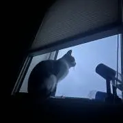 rの画像