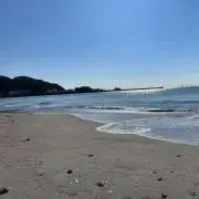 ★みの画像
