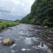 M i