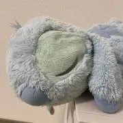sii♡当日発送の画像