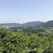 ハピス