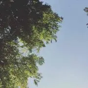 ますだ