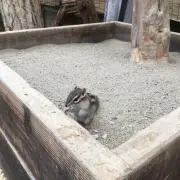 モカモカの画像