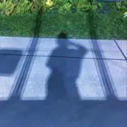 ぱたぱ