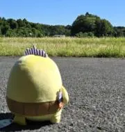 T.Hの画像