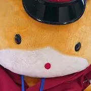 Image of ポン