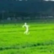 くねくね