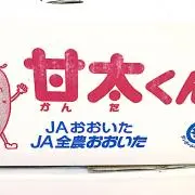 甘太くんの画像