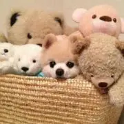 チョコ