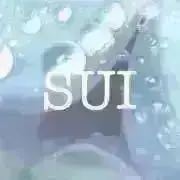 SUI@全品匿名配送の画像