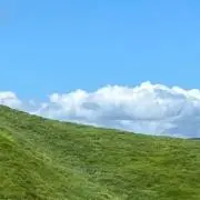 Earlyの画像