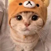 いちご