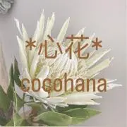 心花cocohanaの画像