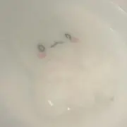 うにの画像