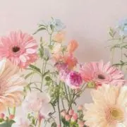 Flowerの画像