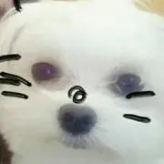 SAORI　★プロ必読★の画像