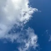 釣り好き