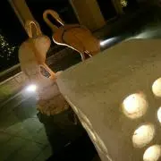 Rozeの画像
