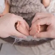 かめの画像
